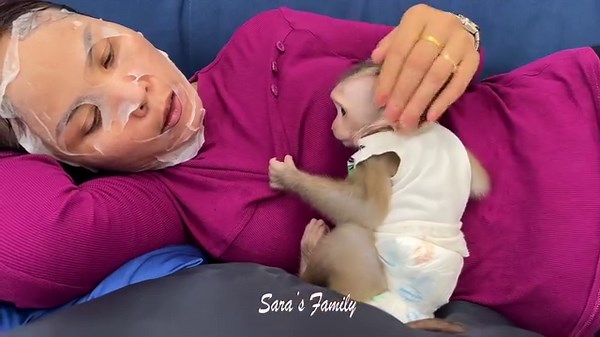 20K views · 675 reactions | Poor Baby Tauch Scared Of Mom Wearing Mask While Sleeping | Monkey Daily | Facebook