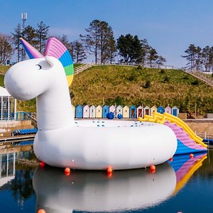 [Hot Item] Giant Inflatable Water Unicorn Children Playground Equipment for Sale