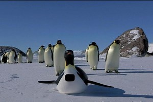 Penguins: Spy in the Huddle | Episode 1 | The Journey