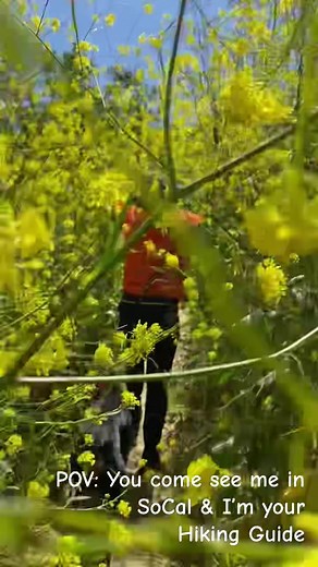 Waitin on You…..! #thetopherdimaggio #MeekoTheDobie #dogsoftiktok #hikingadventures