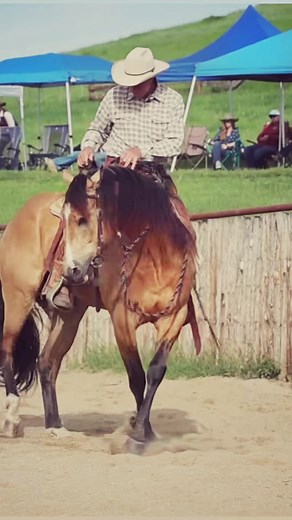 I’m warming up Beef to work some colts at home. You can watch Beef at TheBuckChannel.com 🎥 Nicole Poyo Photography #buckbrannaman #thebuckchannel #horsemanship | The Buck Channel - Buck Brannaman Horsemanship