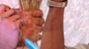 Saura Chakwai Chakwai na Bakwainin Chakwai Gawuna saura Kiris, yanzu Tsula 2-0 ya tsinci kai, Gawuna saura kiriss Naaaaaaaaaaaagode💃🤣😅 ~Jami'ar Waka Rarara | Gandujiyya Online