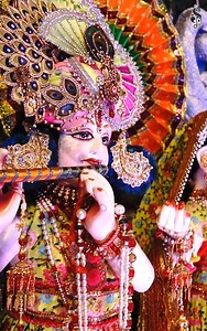 11K views · 1.4K reactions | Jhula Jhulo Re Radhe Rani #Radherani #Radheshyam #Radhe #Shyam #Sheetalpandey #Trendingreels #Fbreels #Reels2024 #radheranireel | Sheetal Pandey | Facebook