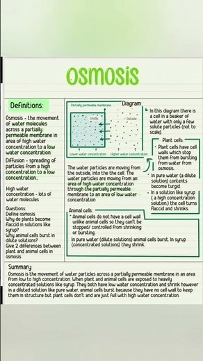 Osmosis physiology and anatomy