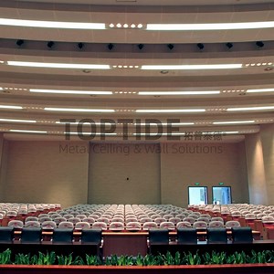 [Hot Item] Special Wavy Design Aluminium Decorative Suspended Metal Cladding Panel for Ceiling
