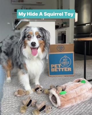Yuki can't get enough of her hide and seek toys and yes, they are all different and very much needed thank YOU! 😏 🐿️ Outward Hound Hide-A-Squirrel Ginormous | Pet Circle