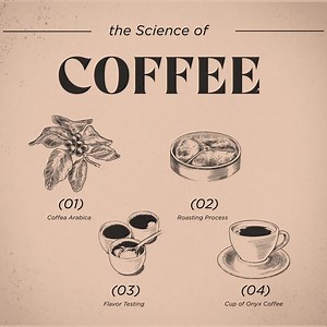 2.3K views · 181 reactions | Transparency and excellence are the expression of our core | ONYX Coffee Lab | Facebook