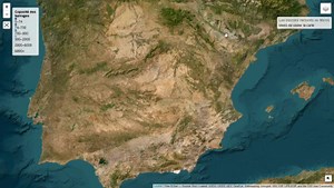 Interactive Web Map for Geospatial Visualization