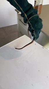 91K views · 1.1K reactions | Juvenile Eastern Brown in an office...