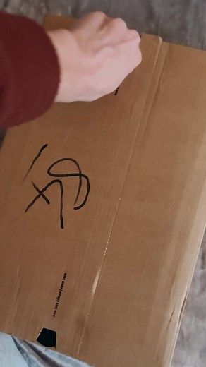 5.5K views · 81 reactions | Notices will be served over the next couple of days.  | Ladybug Art | Facebook