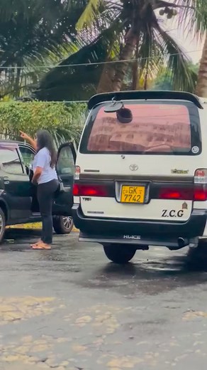 18K views · 593 reactions | DOLi  Sri Lankan Van Pisso SLVP #slvp #slvpmember | Sri Lankan Van Pisso SLVP | Facebook