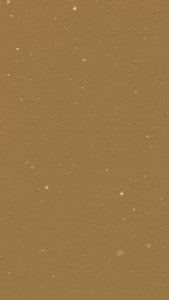 #piejunkieyyc #calgarybakery #christmasdessert #yycbakery #pies #christmascookies #christmasbaking | The Pie Junkie and Bakery LTD