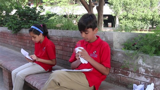 15 reactions | PYP Exhibition 2023- Group introduction- 5B- Land...