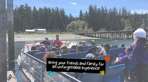 Deception Pass Tours on Reels