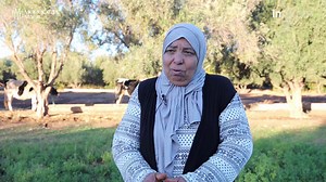 2.1K views · 29 reactions | En 2021, Intelcia a signé un partenariat...