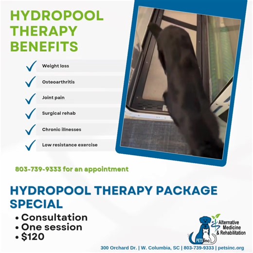 #PETSincAlternativeVetMedicine #HydropoolTherapy has many benefits for your pet! We are offering a hydro package special: • Consultation • One hydro session • $120 803-739-9333 to schedule an appointment. | PETSinc