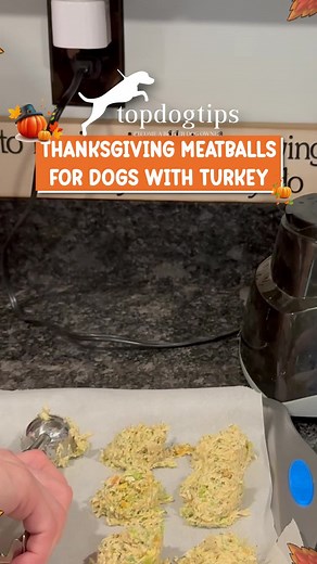 🦃🍽️ Meatballs with a Thanksgiving twist! 🐾💛 These homemade turkey meatballs for dogs are packed with protein, flavor, and fall goodness—perfect for including your pup in the holiday feast. 🥕✨ Healthy, homemade, and 100% tail-wag approved! 🍂 Watch now grab the full recipe here: https://topdogtips.com/homemade-turkey-meatballs-recipe/ #ThanksgivingForDogs #TurkeyDogTreats #HomemadeDogFood #HealthyDogMeals #HolidayForPups #TopDogTips | Top Dog Tips