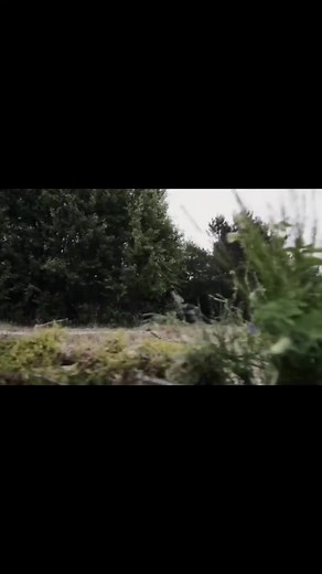 France Leclerc Tank | Discover France