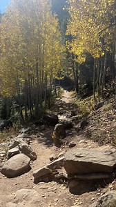 6 comments |  It’s National Take a Hike Day  and that means we’re (save)oring the last days of Fall. ✨ Hit the trails then shop our 30% Off site-wide sale – which kicks off today. Plus, take advantage of free shipping on orders over $49. Where are you getting outside today? #NationalTrailsDay #TakeAHike #granitegear #trails #hiking #RMNP #adventure #backpacking #gear | Granite Gear | Facebook