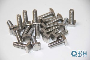 [Hot Item] 304 316 Stainless Steel Square Head Bolts T Bolt