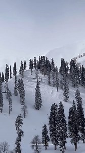  Experience the thrill of a lifetime! The Gulmarg Gondola, the...