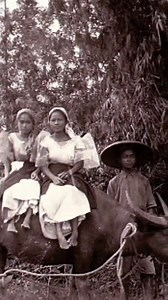 "Early 1900s rural Philippines: Farm girls ride a carabao (water buffalo), the backbone of agricultural life across the archipelago. This photo captures not just daily transport, but the deep connection between people and land in provincial communities." #factsZero | FACTSZERO