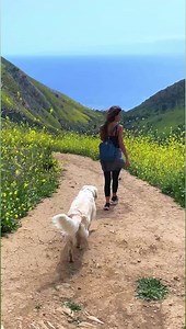🌼among the wildflowers🌼 Solstice Canyon Trail, Malibu 💛 #wildflowers #hiking #youbelong #befree | Cooking with Manuela
