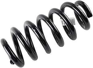 Amazon.com: GM Genuine Parts 23104462 Rear Coil Spring : Automotive
