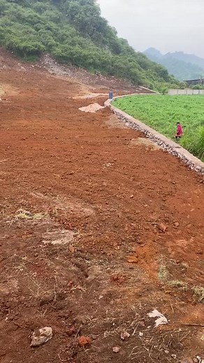 Video của Quân Nguyễn (@quan467) với bản nhạc nhạc nền - Shark Nguyễn Hoà Bình