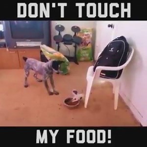 13K views · 59 reactions | Size doesn't matter ;) | Video and Gif Station | Facebook