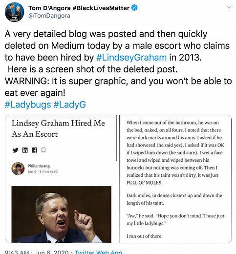 The ladybugs story | Lindsey Graham "Lady G" Rumor