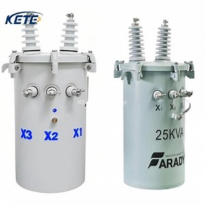 4.16kv 6kv 6.6kv 10kv 11kv Pole-Mounted Transformer Overload Protection Function Power Product Preventing Equipment Damage