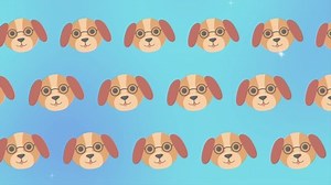 Dog Chihuahua Happy Faces Gif Animation Stock Footage Video (100% Royalty-free) 1049883430 | Shutterstock