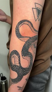 3.8K views · 113 reactions | Snake forearm. Fullyhealed ✨ 6 months. | Karlvtattoo | Facebook