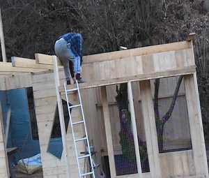 The pheasant room and tree house are both alone. | Alone with nature