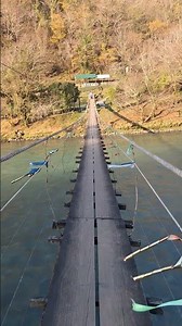 29 ноября 2025 г.