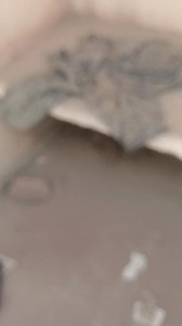 912K views · 9.1K reactions | Exploración en un Hotel abandonado en Ciudad Obregon Sonora. Vibras y sensaciones extrañas nos acompañaron en todo el recorrido. Por cierto, nosotros somos el equipo de Relatos de media noche, saludos a todos, Si le dan amor a este video les haremos más exploraciónes de noche en distintos lugares espeluznantes. | Relatos de media noche | Facebook