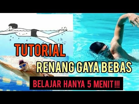 Tutorial Renang Gaya Bebas Bagi Pemula | Hanya 5 Menit Langsung Bisa Renang Gaya Bebas #Swim