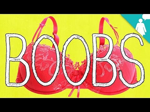 Why Breasts Are 'Boobs'