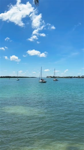 Shore Restaurant on Instagram: "A visit to Shore at Longboat Key is just what you need! The full coastal experience—elevated American cuisine with fresh-caught fish and seasonal specials. Don’t forget to shop our thoughtfully designed resort wear line for men, women, and kids when you visit. From tropical prints to timeless essentials, Shore blends style and flavor in one unforgettable destination."