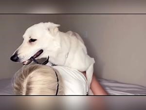 Bestialitysex Tube: Blonde slut fucks her dog (Part 4) - Extreme Animal Porn