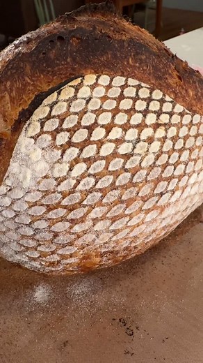 Simple score - big impact “Armadillo bread” Washcloth rice flour Both linked in my storefront Bread Lame @wiremonkeyshop Cutting Board @kongboards Banneton @rosehillsourdough Bread Oven @pleasanthillgrain #armadillobread #sourdoughbread #forfun | Holly Made Bakes
