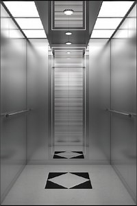 [Hot Item] Machine Room Machine Room Less Passenger Elevators Lift Manufacture Residential Elevator