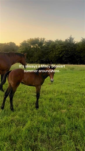 4.2K views · 67 reactions | Miley Stewart summer #IamCowgirl #Cowgirl #CowgirlMagazine #Horses | COWGIRL Magazine | Facebook