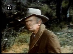 BEVERLY HILLBILLIES DISK 31