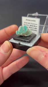 SOLD The color in this Amazonite cluster is just gorgeous! Out of the Emerald Fortress Pocket at the Wild Blue Indian Mine in Lake George, CO $15 | Northeast Prospector | Facebook
