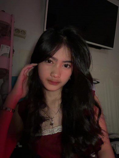 foto lula tiktok: como encontrar e baixar fotos da Lula no TikTok