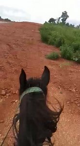 ⭕️ NATITINGOU ⭕️ Petite Balade Matinale avec les touristes a Natitingou Venir au Bénin c'est Bien , Mais venir et parcourir les villes et villages avec un guide qui sait comment vous mettre la joie dans le cœur et vous faire vivre des moments inoubliables est encore très bien et recommandé même Le 229 dans ses couleurs BÉNIN REPUBLIC  | Patronat Tourisme Bénin | Facebook