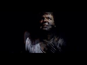 Formless Reflection - Cerberus Effect (Official video)