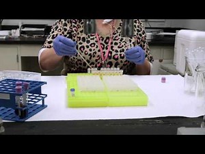 Healthy Volunteer: What to Expect | IU Health